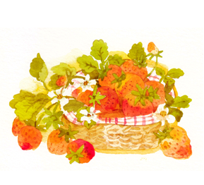 香りの印刷所　プルースト「朝摘み果汁いちご」