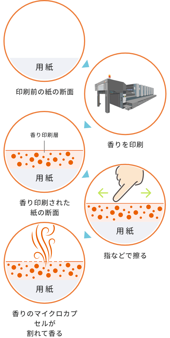 香りのひみつ画像