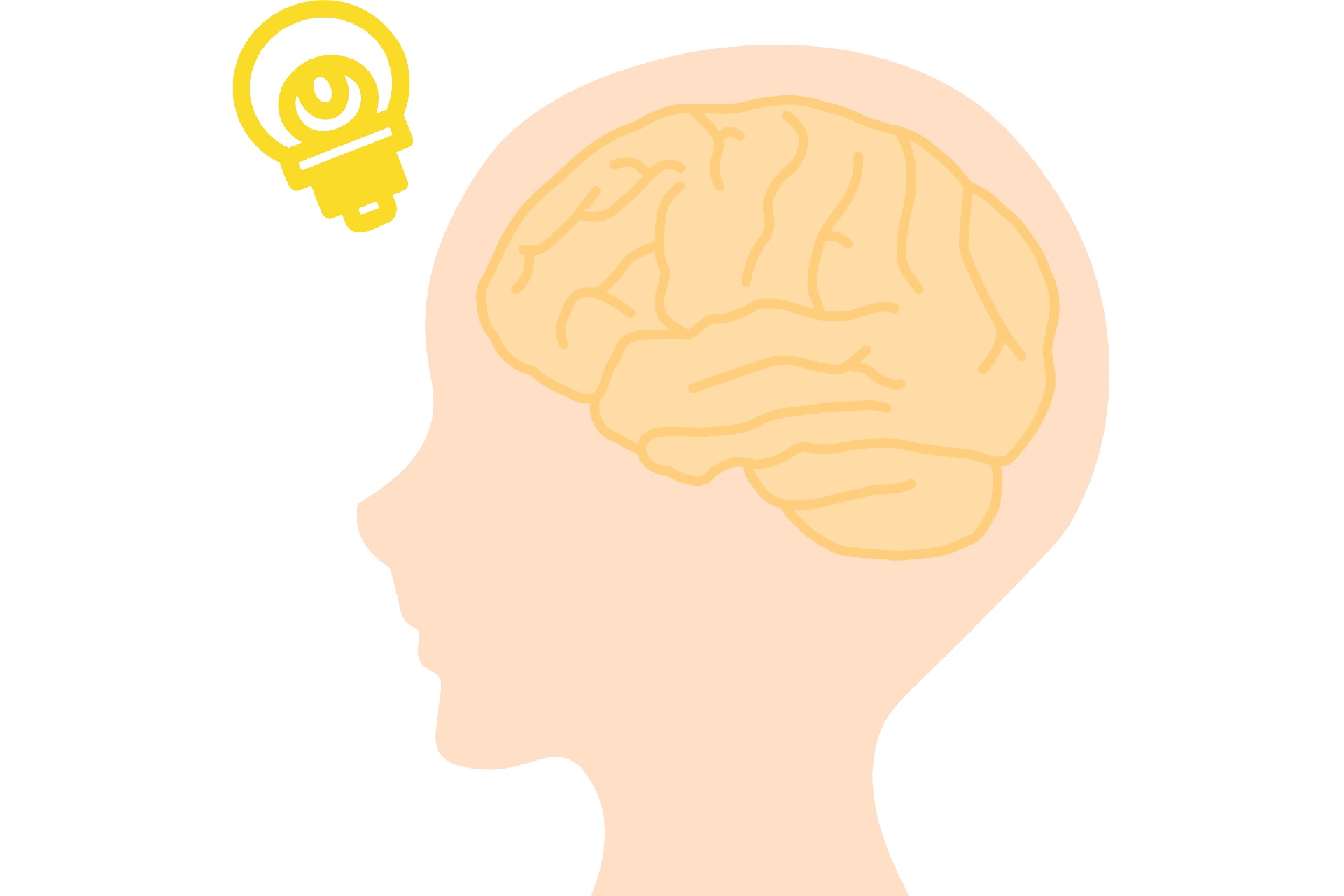 香りが印象に作用するしくみとその種類について